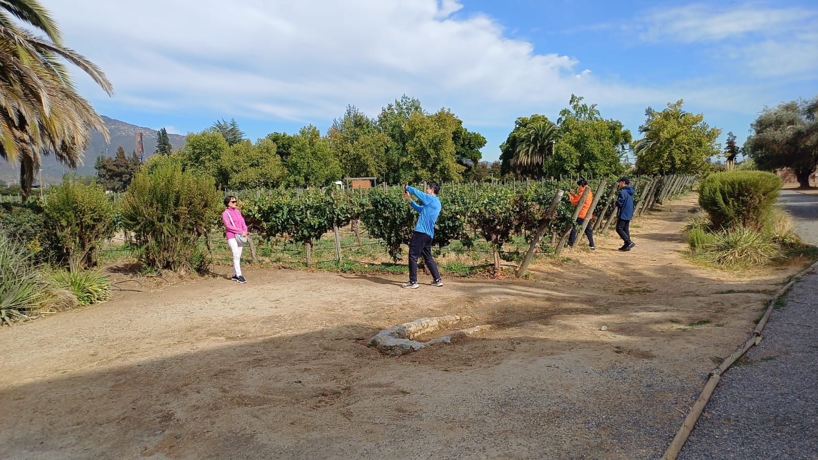 WhatsApp Image 2025-09-24 at 6.10.27 PM